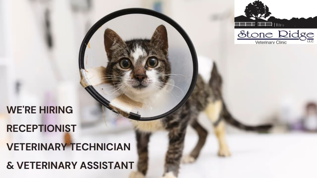 Stone Ridge Veterinary Clinic Riverton Utah