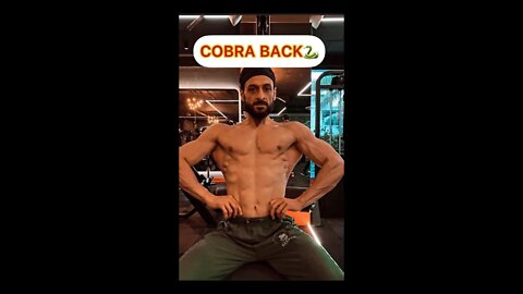 🐍COBRA BACK #shorts #cobraback #back