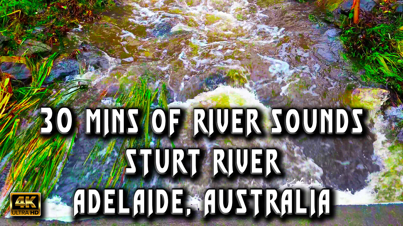 Unwind Your Mind with Tranquil River Sounds | Nature's Therapy for Stress Relief & Relaxation.