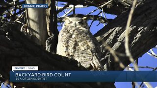 Bird count weekend