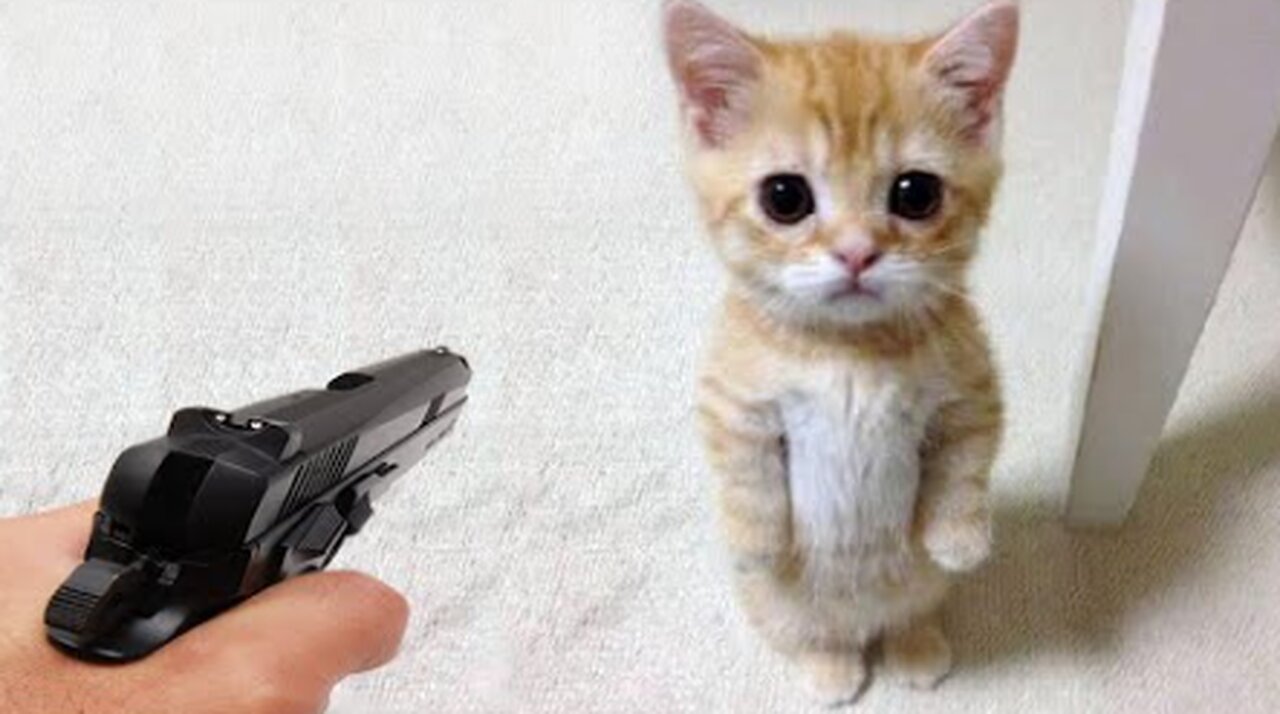 Funniest Animals 2023 😂 Funny Dogs and Cats Videos 😺🐶 Part 1