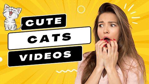 Cute and funny cats videos