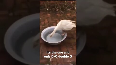 It's the one and only D-O double G #shorts