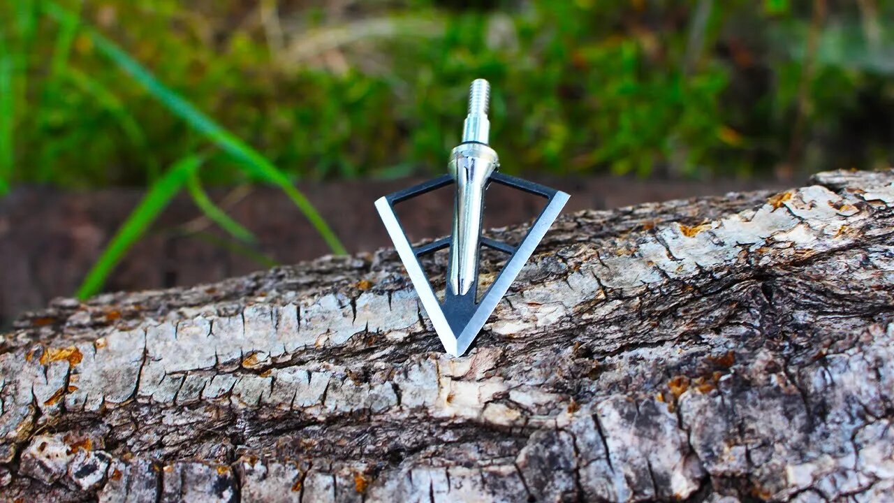 Swhacker 252 Broadhead Review