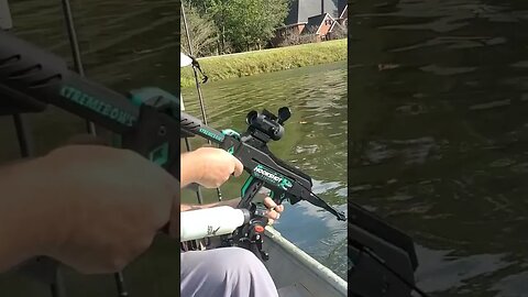 HookShot raw footage, B roll #bowfishing #fishingchallenge #carp #gar #fishing #hookshot #broll