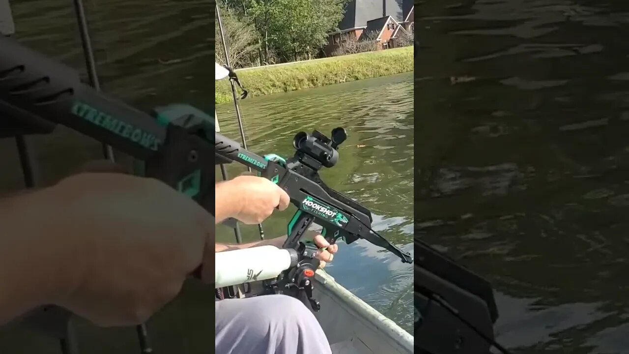 HookShot raw footage, B roll #bowfishing #fishingchallenge #carp #gar #fishing #hookshot #broll