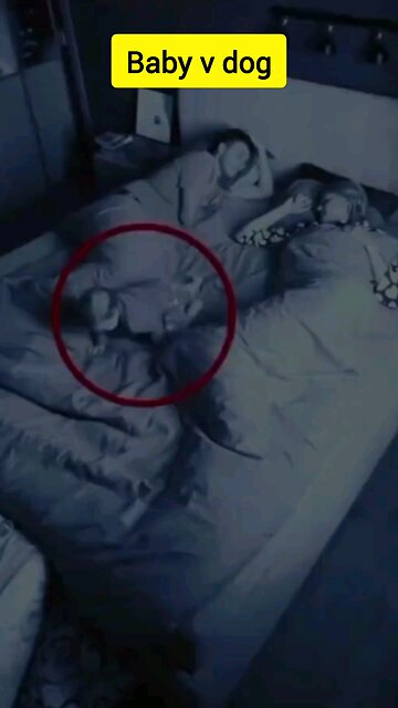 Baby in place of dog and dog in place of baby