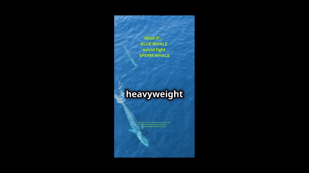 What iF… BLUE WHALE would fight SPERM WHALE