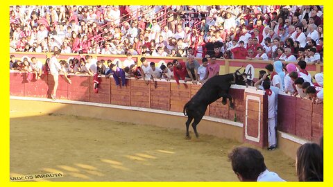 TUDELA ( NAVARRA ) MATINAL VACAS PLAZA ( DOMINGO 30 JULIO 2023 ) GANAD.VIRGEN DE SANCHO ABARCA