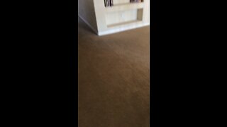 What is going on down there