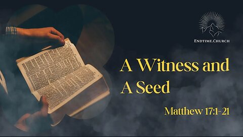 A Witness and A Seed (Live Service 2024 October 28)