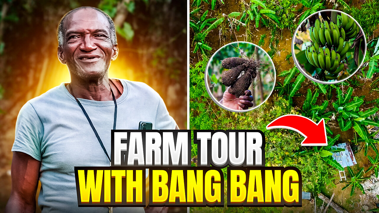 Farming with Bang Bang