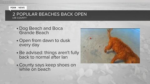 Dog Beach & Boca Grande Reopens