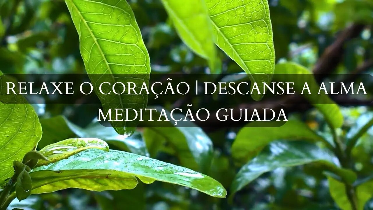 MEDITAÇÃO GUIADA: RELAXAR O CORAÇÃO, DESCANSAR A ALMA