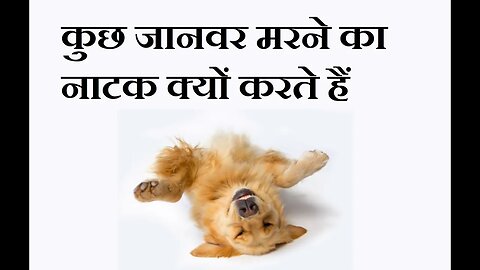 मरने का अभिनय करने पर जीवों को क्या लाभ होता है