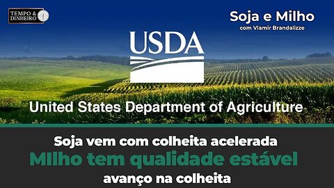 USDA . Soja vem com colheita acelerada mas com baixa qualidade. Milho tem qualidade estável