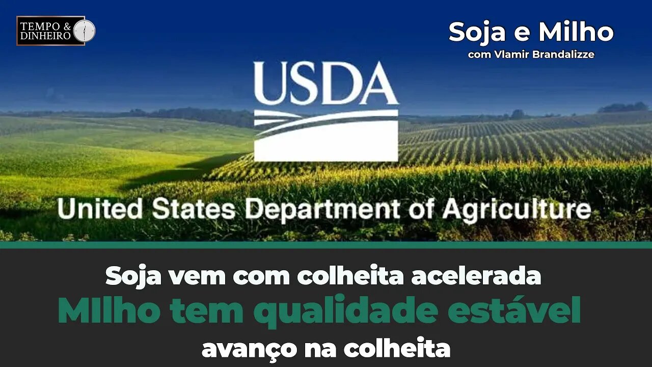 USDA . Soja vem com colheita acelerada mas com baixa qualidade. Milho tem qualidade estável