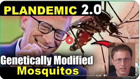 PLAN-Demic Lockdown because of New Bill Gates Mosquito 'VIRUS' 'EEE'!