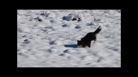 Clock Is Ticking For The Climate