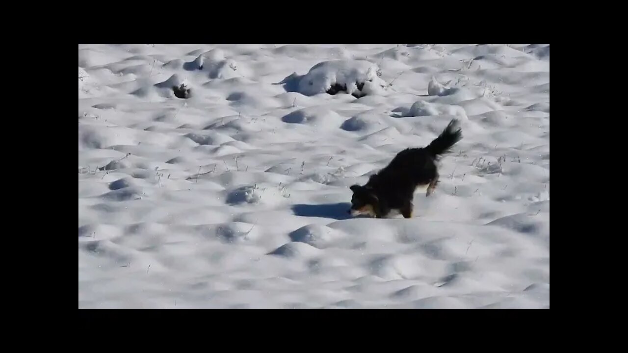 Clock Is Ticking For The Climate