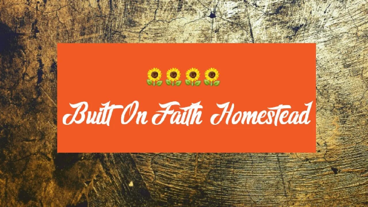 Tiny house. What is the COST.