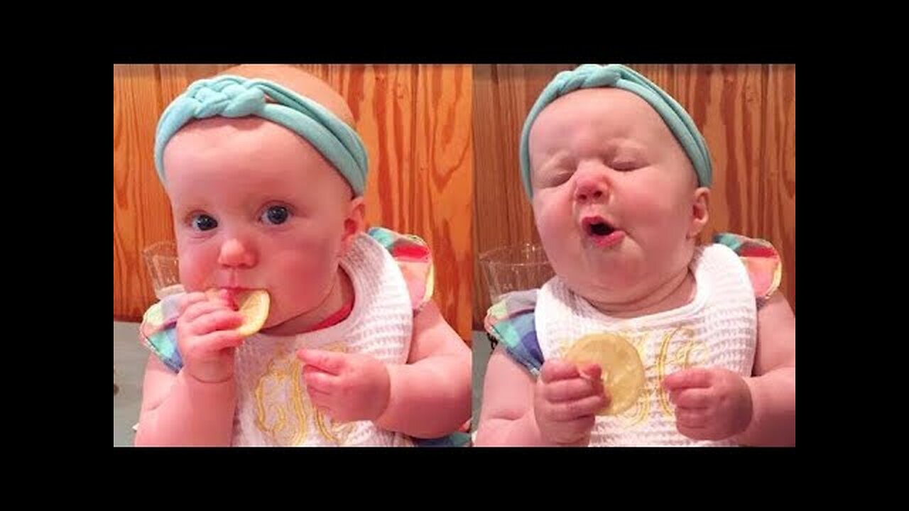 Lemon Eating Reaction Funny Babies