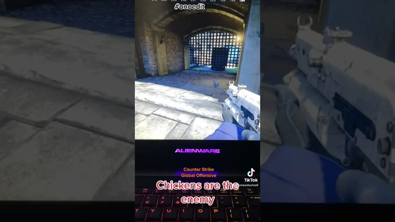 Chickens are the enemy in CS:GO #csgo #counterstrike #chicken #onoedit