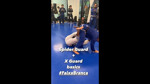 Spider Guard + X Guard basics