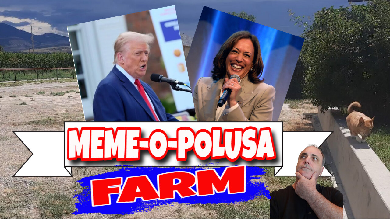 Madison Square Garden Nazis The Border Bizarre Dark MAGA And We Know Shout Out