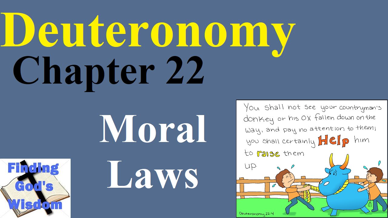 Deuteronomy: Chapter 22 - Moral Laws