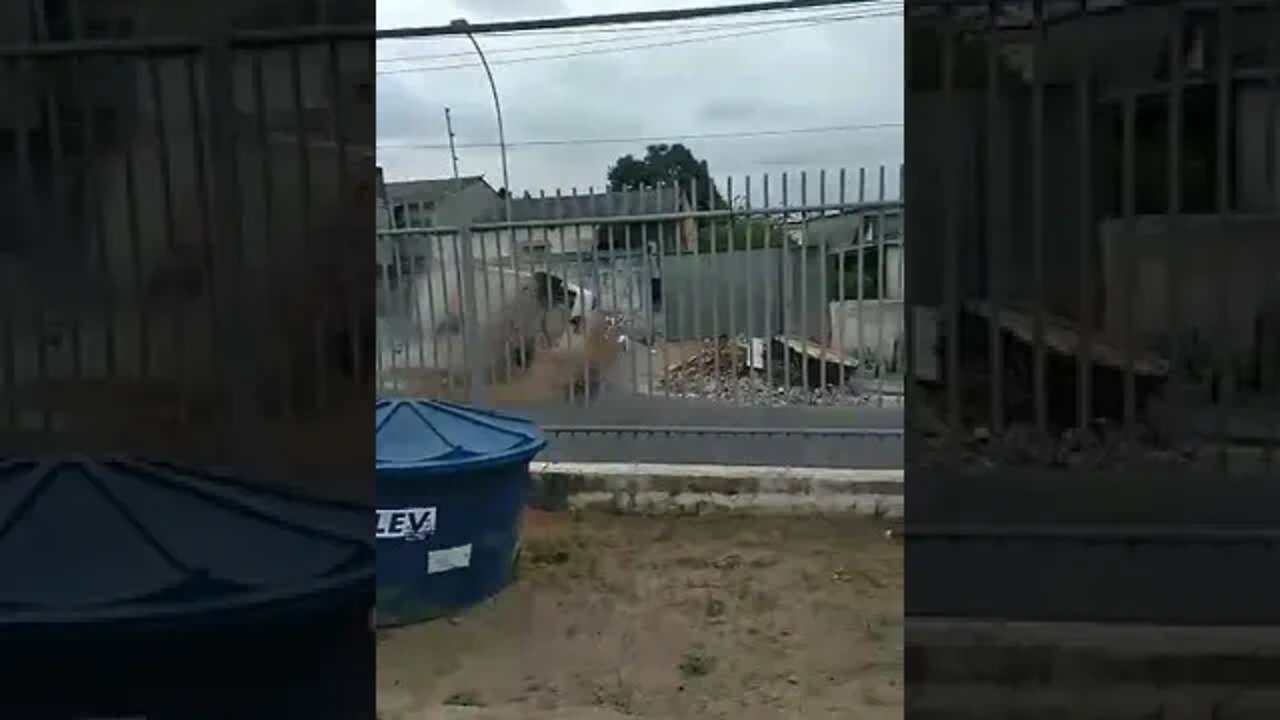 Foi filmar o Cachorro filmou um acidente.