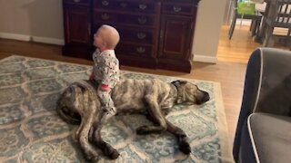 Piper loves the kids