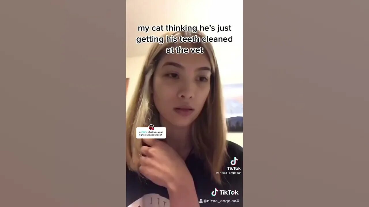 Bichinhos fofos para alegrar seu dia