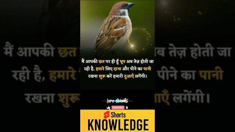 Motivational Quotes Intresting Facts lifestyle #shorts #ytshorts #motivation #knowledge