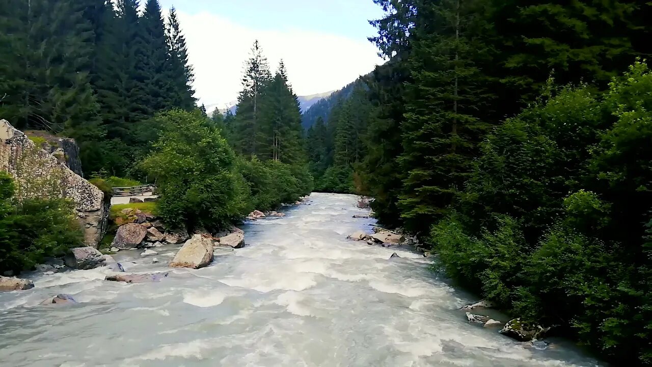 Singing birds on a mountain river. The noise of a mountain river for sleep.