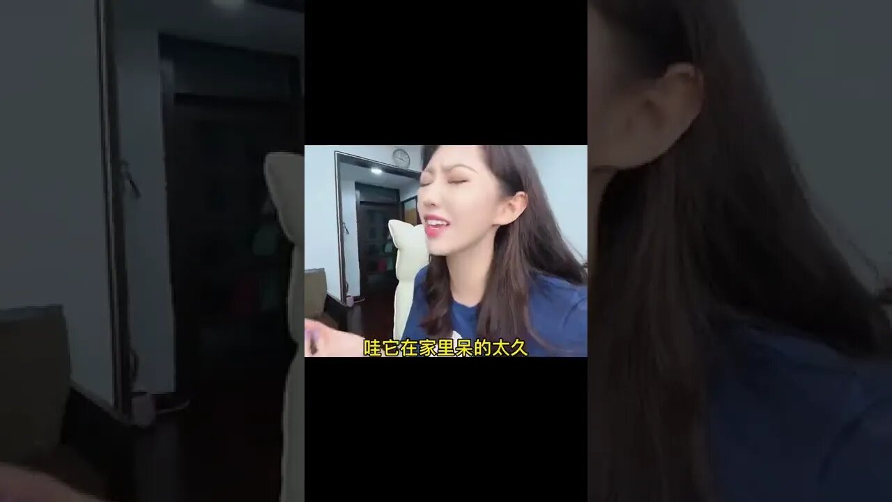 小寵物生起病來有時候真的會讓人哭笑不得，比如說我媽養的龜？