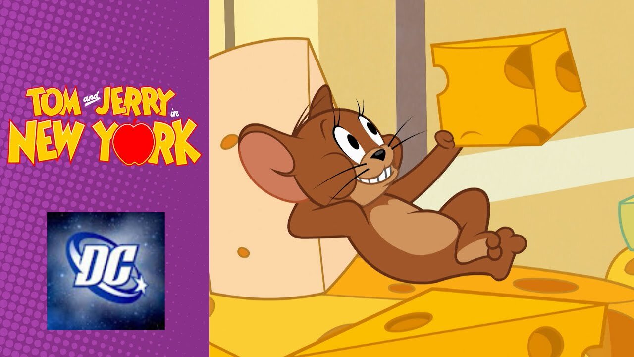 Tom Swap Places with Famous Cat | Tom & Jerry in New York | cartoon videos