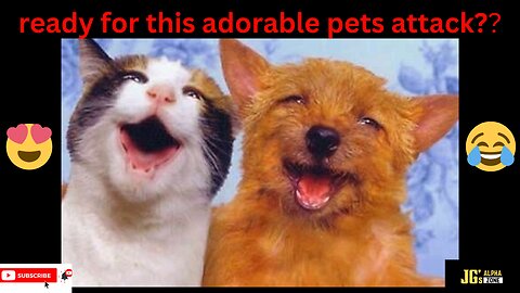 adorable cute pets..