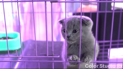 All Things Purple 💜
