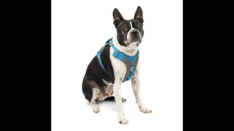 Review Tempcore Large Dog Bed (MLXL) for Small, Medium, Large Dogs Up to 5080110lbs -Waterp...