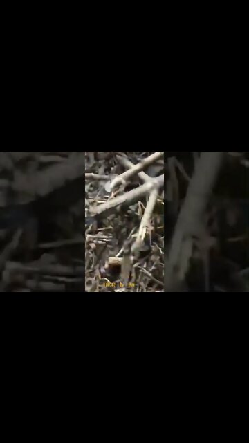 🇷🇺🇺🇦 This Is How Ukrainian Militants Spend Their Days Thanks To Russian & Allied Artillery💥🔥