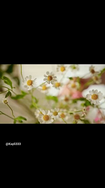 Old upload from YouTube