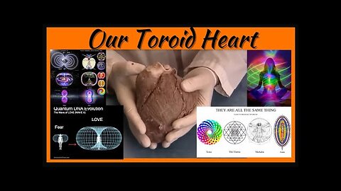 Our Toroid Heart