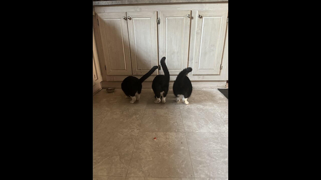 There’s something going on with my kids.