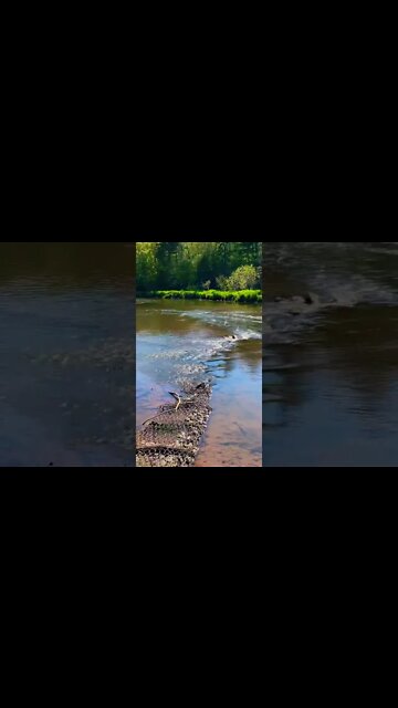 Beautiful flowing water at Bonshaw