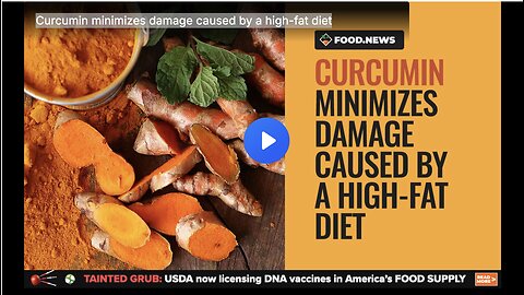 Curcumin minimizes damage caused by a high-fat diet