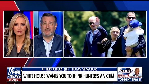 Ted Cruz : This Is Cronyism, Camouflage, And Corruption