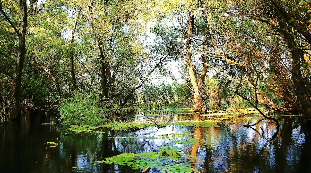 Ion Ivanovici - Valurile Dunării (Waves of the Danube)