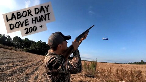 South Georgia Dove Hunt