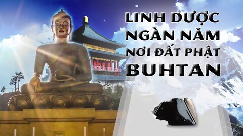 Hỉ Lai Chi - Linh dược ngàn năm nơi đất Phật | Tinh Hoa TV